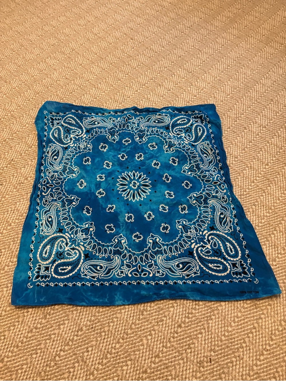 Blue Paisley Bandana Scarf - Women's Accessories